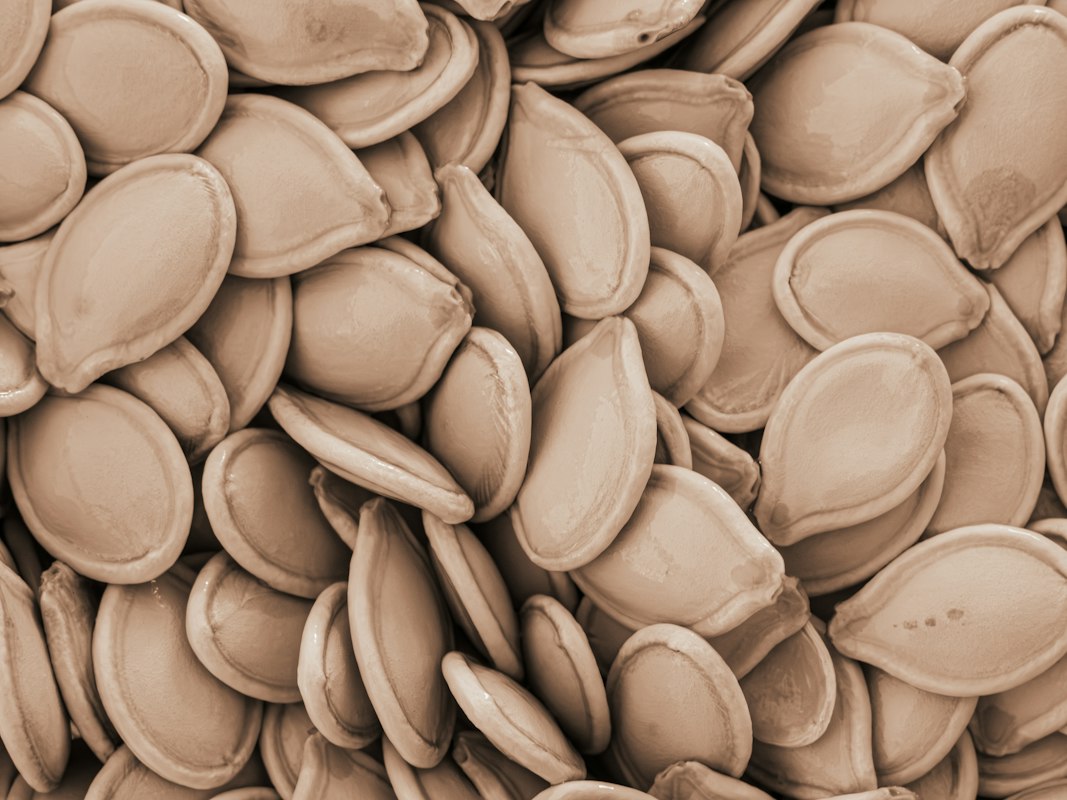 Walnüsse - reich an Omega-3-Fettsäuren